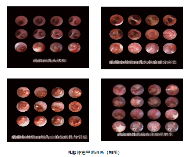 微信截图_20230615091243.png