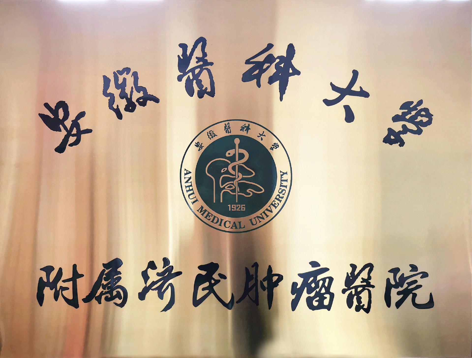 1632454338139078.jpg 3db3a4786d6a9d3562cc4887a756bd0.jpg